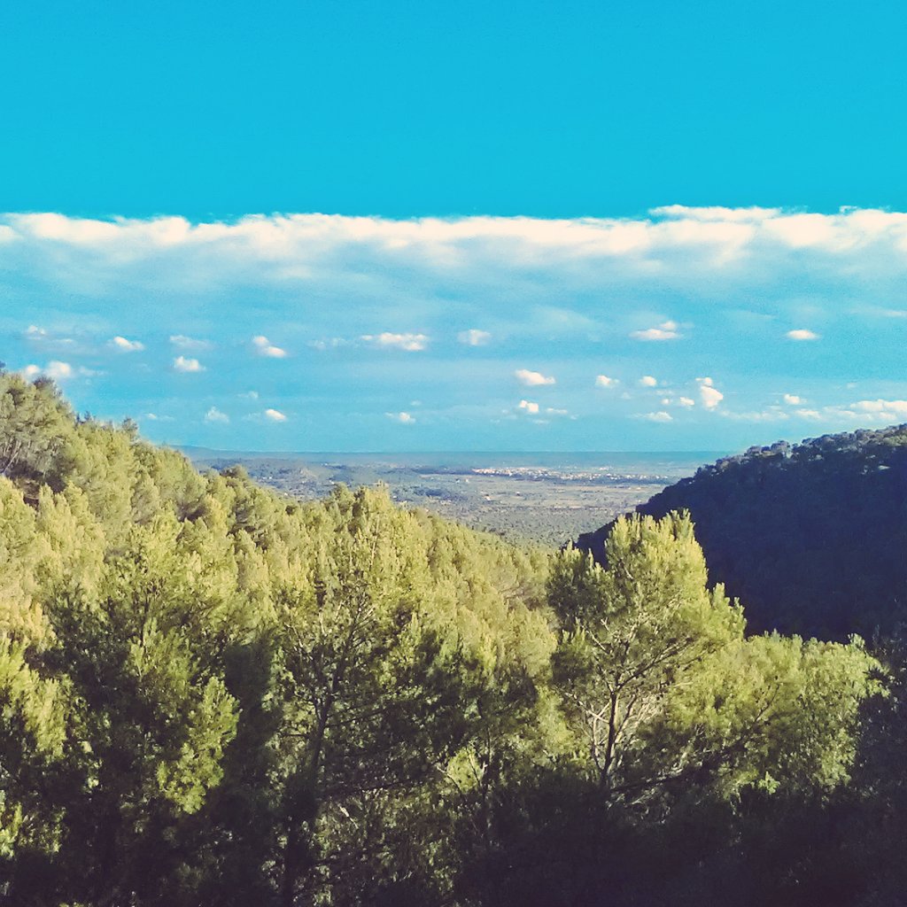 beestewardess's tweet photo. Weekend yoga retreat in the mountains. Trees, trees and more trees after a summer on the water! #yogalife #Mallorca https://t.co/mmTEZftWhc