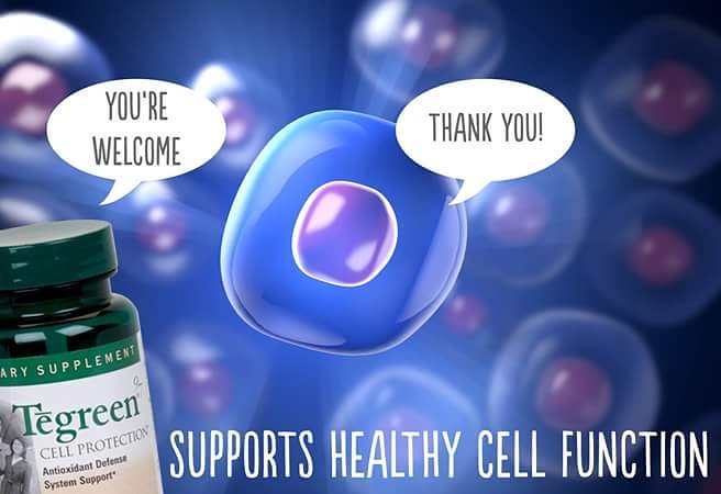 SkinSecret2's tweet photo. Support your #bodys healthy #cell #function . #tegreen #healthy #celltheraphy #weightloss #toxins #fitness #greentea https://t.co/40Xo7griMZ