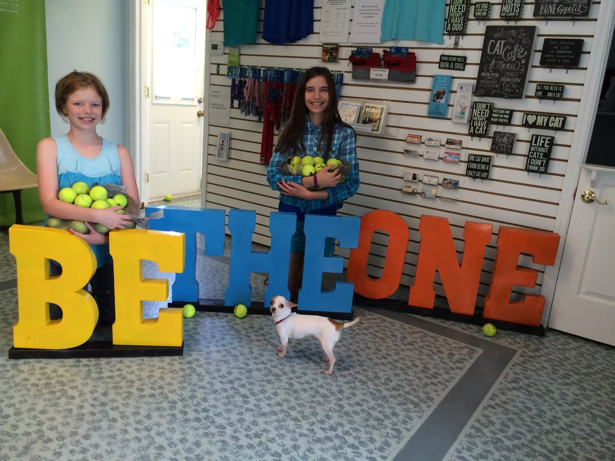 HonorAnimal's tweet photo. Anyone can #BeTheOne to make a difference! Donate to Honor today &amp; your donation will be matched! https://t.co/uhNExuPRei #givingchallenge16 https://t.co/eGGPKc8iC3