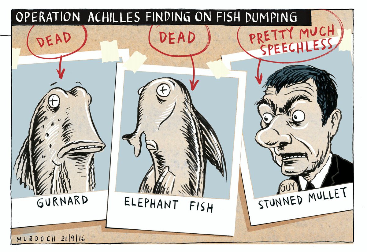 domesticanimal's tweet photo. #NathanGuyMP defends MPI's handling of #fishdumping after revelations 20-100% of hauls dumped. My @PressNewsroom #nzpol #marineenviroment https://t.co/uE9gDKh4mn