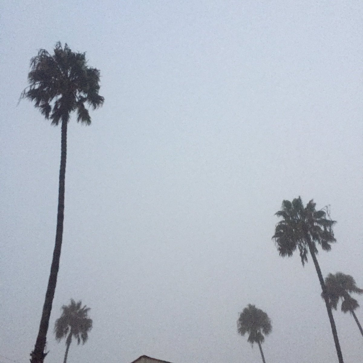 SurfEvolved's tweet photo. Anyone else enjoying this gloomy So Cal day? https://t.co/dLaxw48WUe