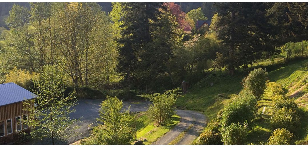 Cowichan ValleyVoice tweet media