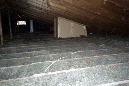 Insulate your attic before it gets cold with pest repellent blown-in insulation. InsulationMatters.com