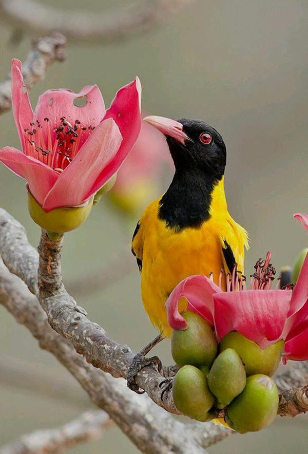 Whatever the beauty of life
Remaining the friendship
The most beautiful title in it