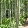 MTB_Home tweet media