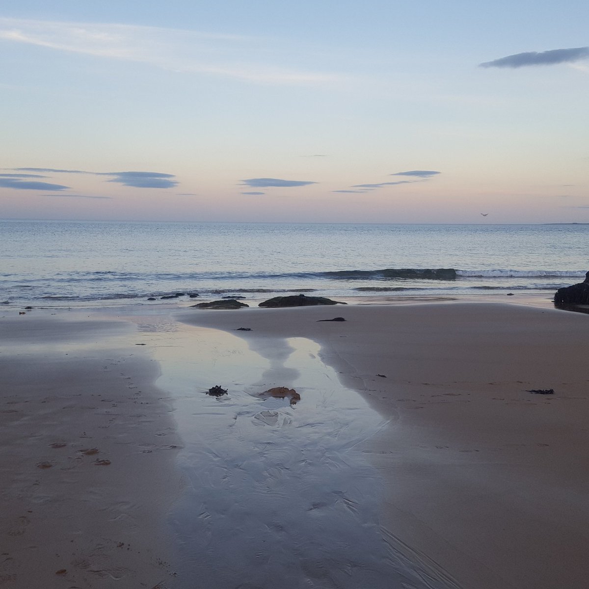 Tracy Graham (@trcygrhm) on Twitter photo 