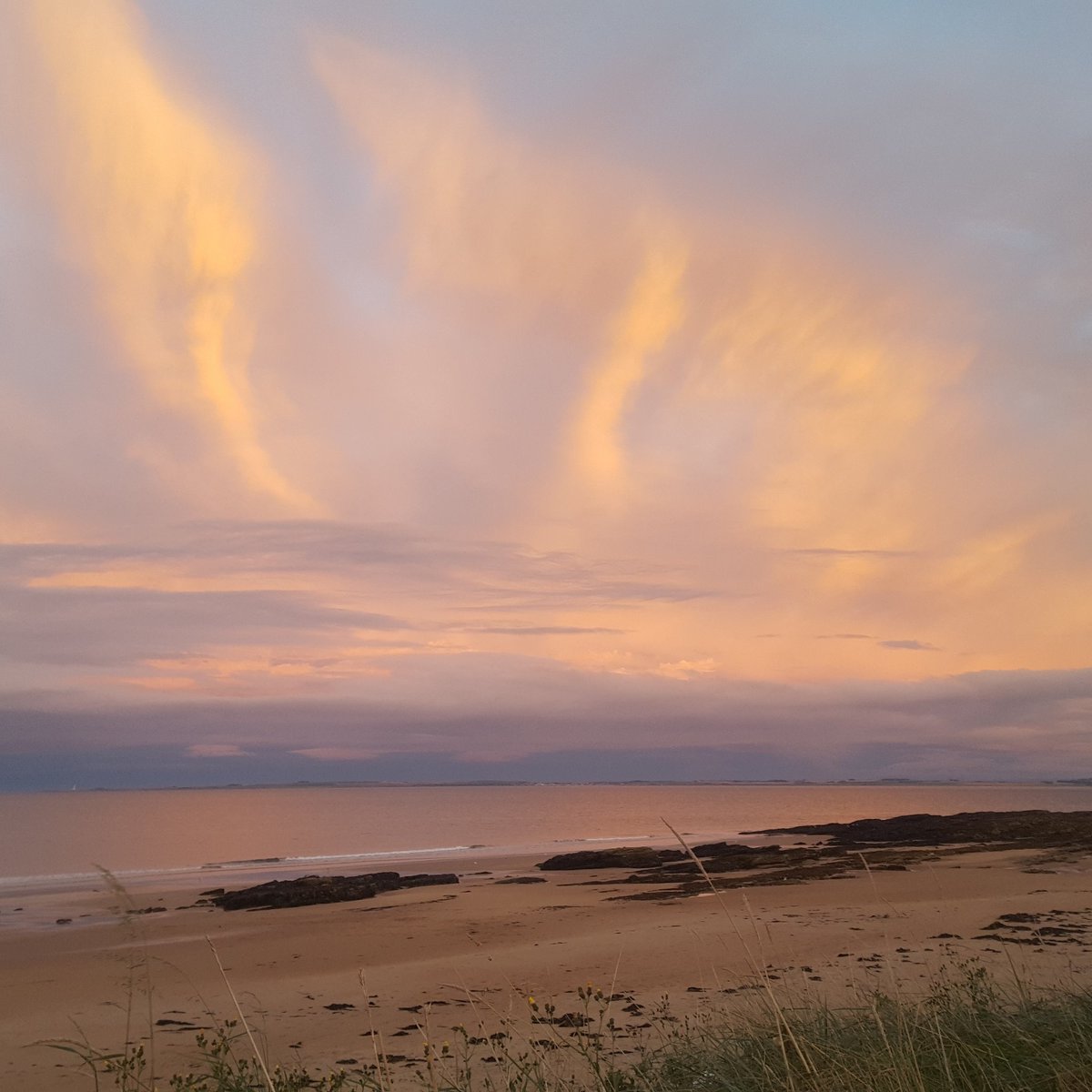 Tracy Graham (@trcygrhm) on Twitter photo 