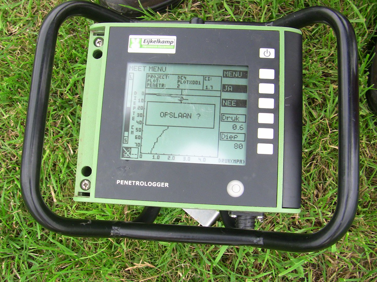 Amazing Grazing tweet media