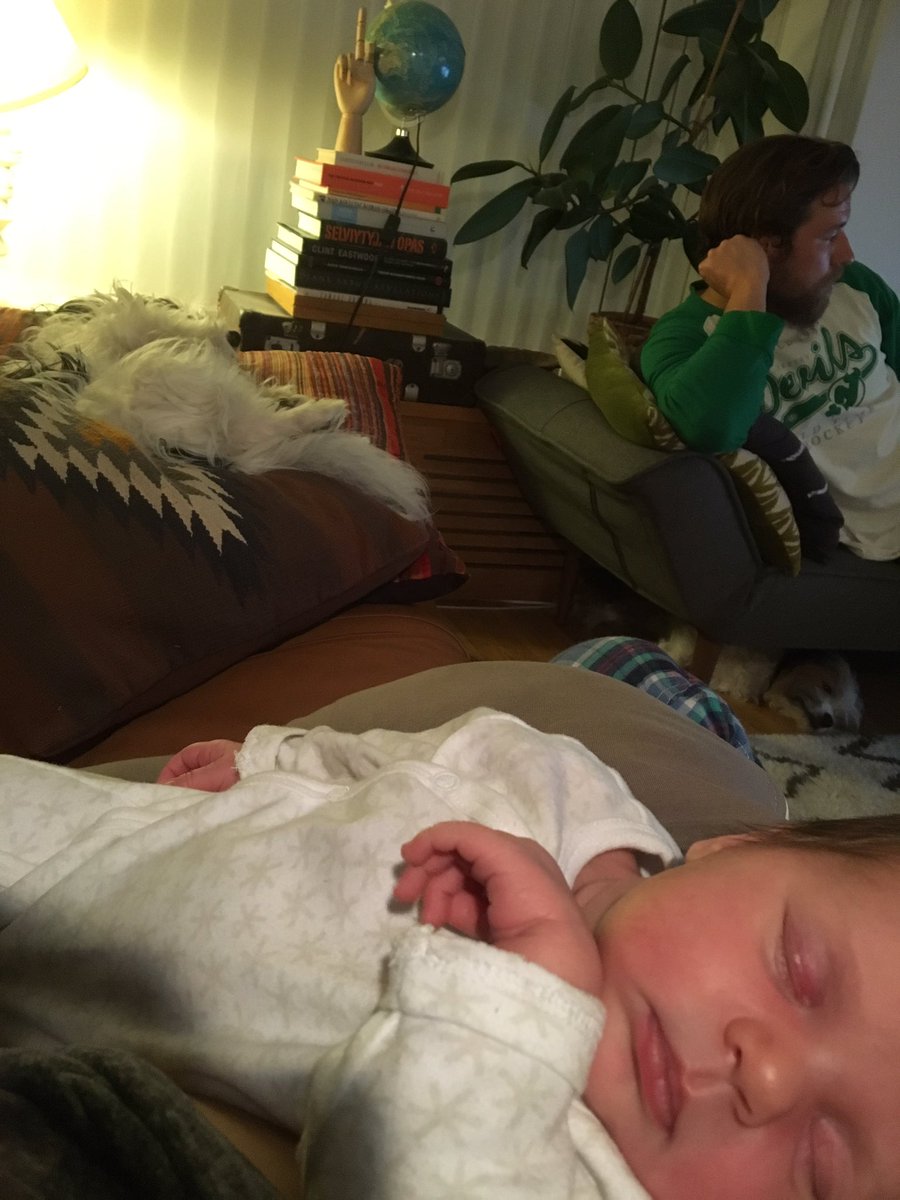 Etsi kuvasta 1 kpl kendojanari ja 2 kpl koiraa. #StadiumHaaste