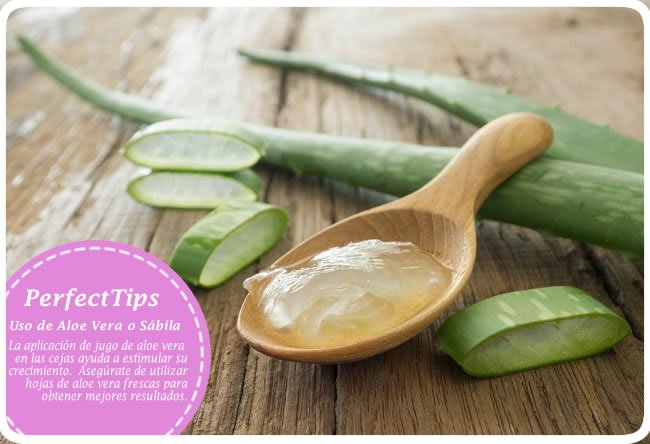 PerfectBrows2go's tweet photo. #PerfectTips Puedes ayudar al crecimiento de tus cejas aplicando Aloe Vera o Sábila. #cejas #tips #crecimientodecejas #belleza https://t.co/R7q9OQdBRi