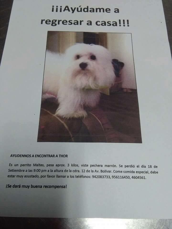 miguealvarezram's tweet photo. Por favor compartir https://t.co/686WmGpkad