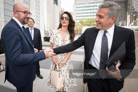 Hans Vandendriessche tweet media