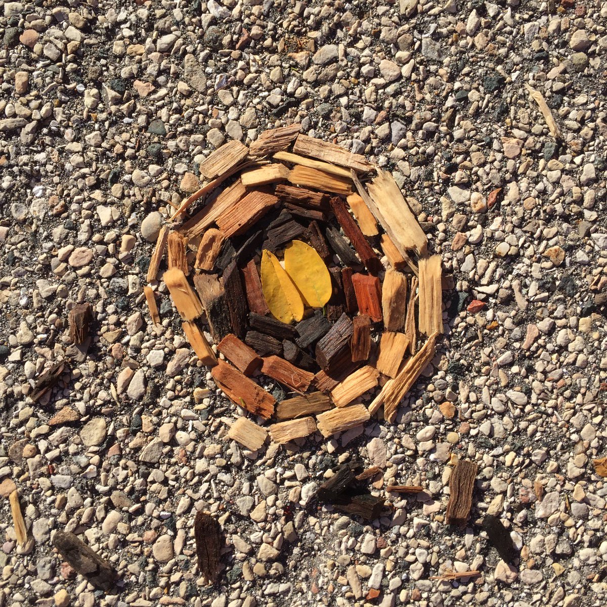 kirkbenson's tweet photo. Kiddos making ephemeral art with natural materials today! @WaukeshaSTEM #STEM #kidart https://t.co/IKP0iOIFHW
