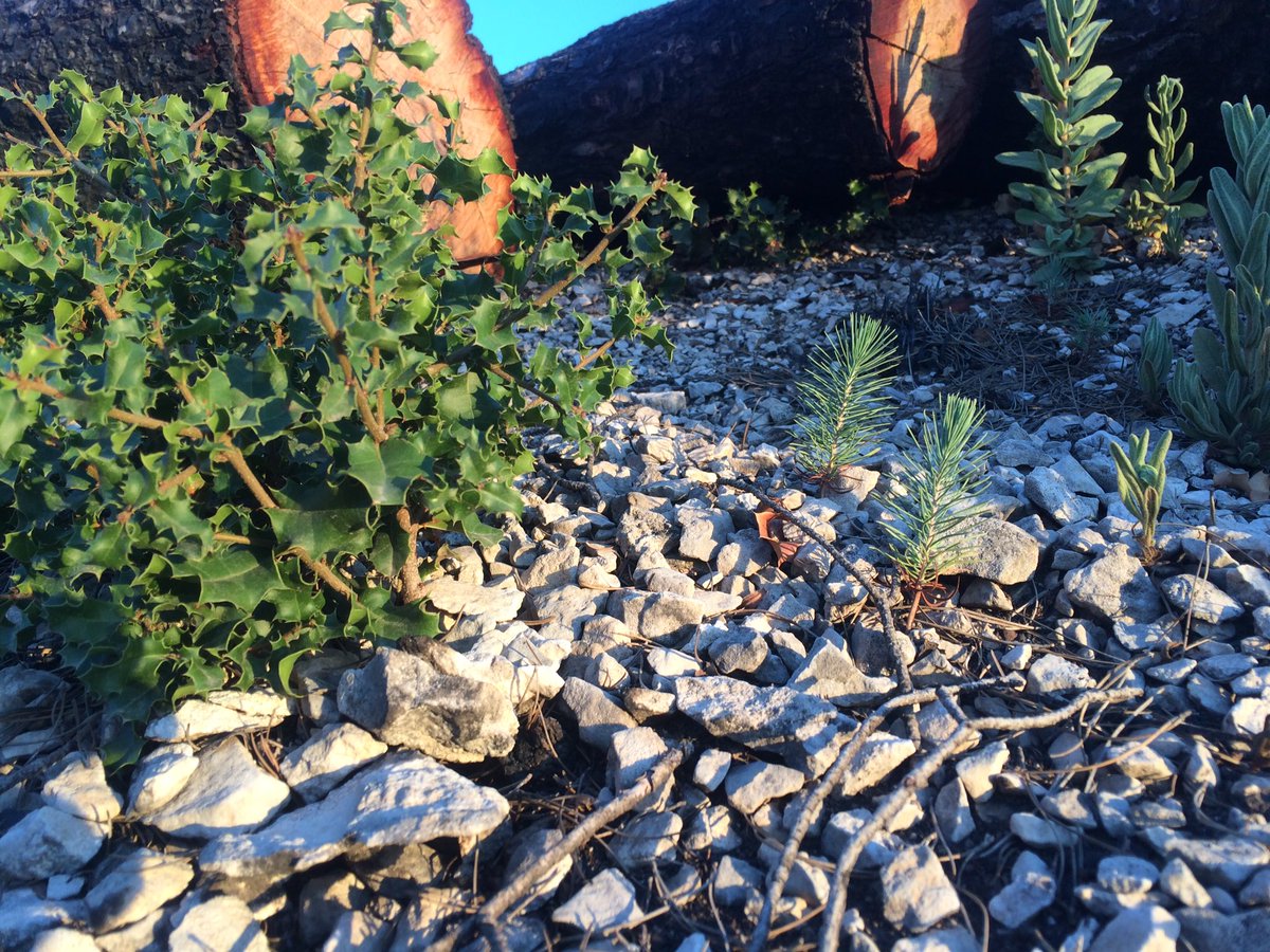 JManuelTudela's tweet image. Un año y un mes después del #IFAlmirez @RestauraAlmirez