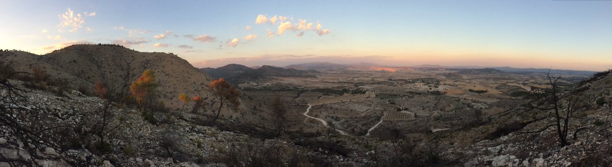 JManuelTudela's tweet image. Un año y un mes después del #IFAlmirez @RestauraAlmirez