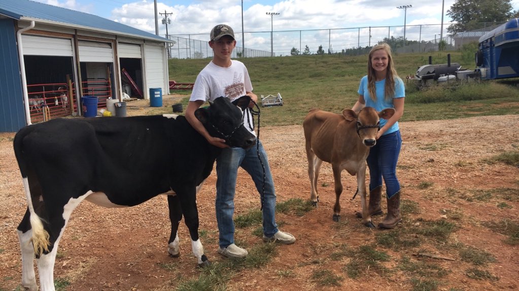nataliewinecoff's tweet photo. so proud of my freshman babies showing this year💙🐄 https://t.co/RJa0jujxZ0