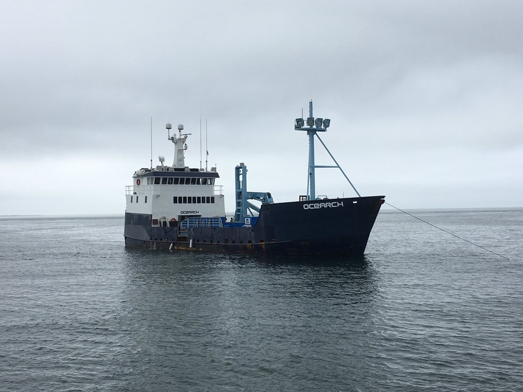 xplorenantucket's tweet photo. Close pass by the vessel @OCEARCH off #Muskeget Island. @SurfSkiWxMan @A_WhiteShark https://t.co/ANN453MZUe