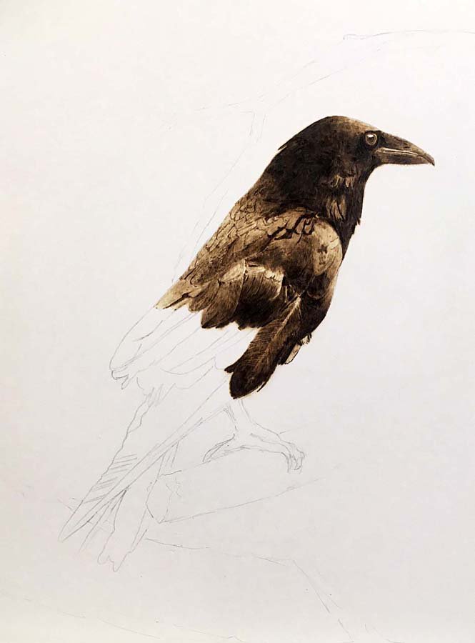 HHS9Art's tweet photo. End of day three.  Going to revisit the perch soon.  Maybe.  Or maybe I'll keep burning! #art #pyrography #birds https://t.co/p4Y4LzRH93