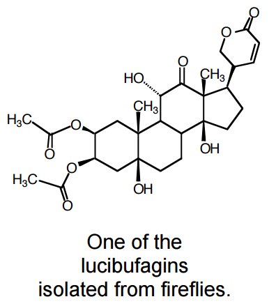叱咤過侮離のtapa 参考 英語 ホタルの毒の成分 T Co Fca7jkquld 毒の流用の話 T Co 0hffkovxk6 卵の毒性の話 T Co Zfo6eo2zxc Twitter