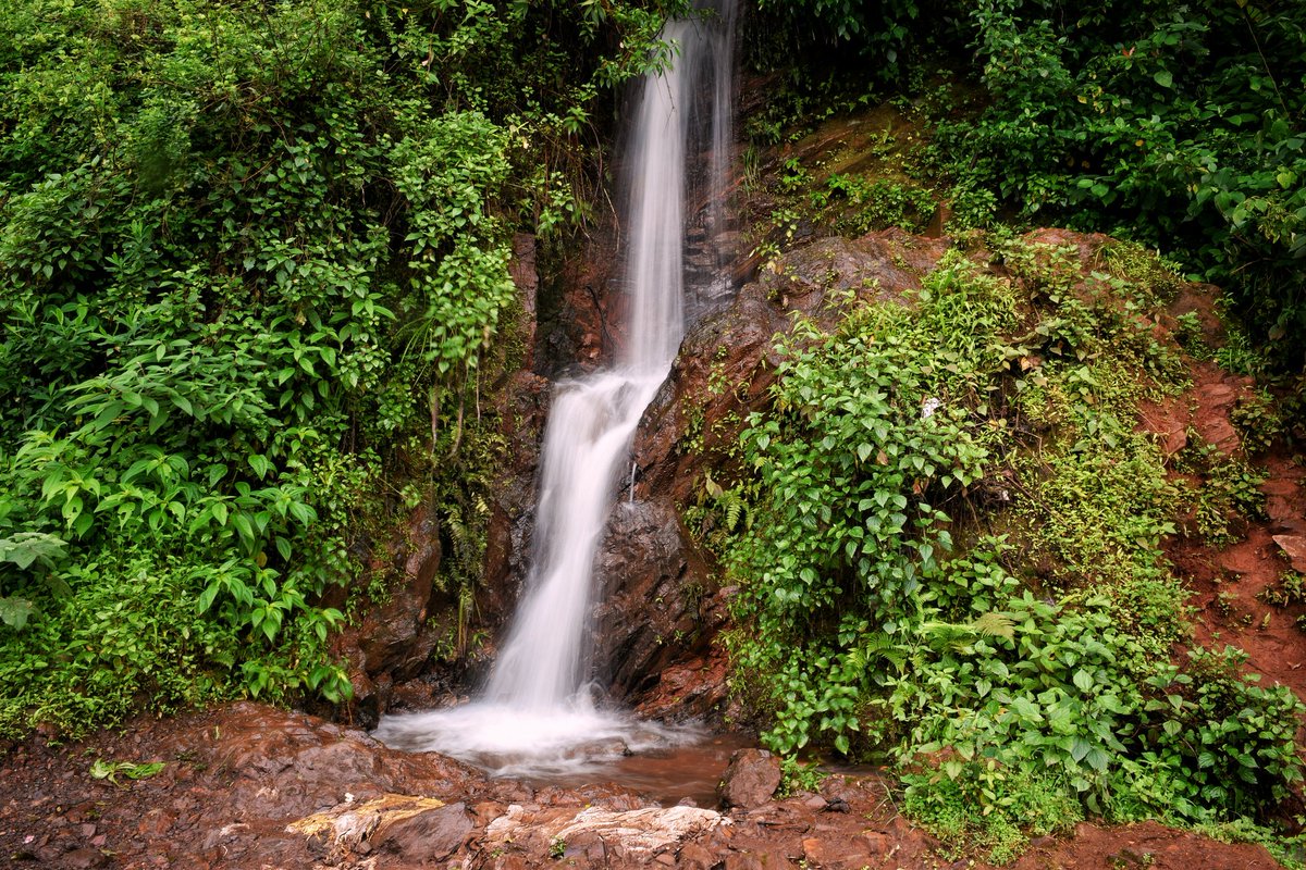 flicker_scape's tweet photo. The flow!
#winklets #photography #waterfalls #Karnataka #chikmanglore
https://t.co/5BGvadcZdv https://t.co/egvscYQ80R
