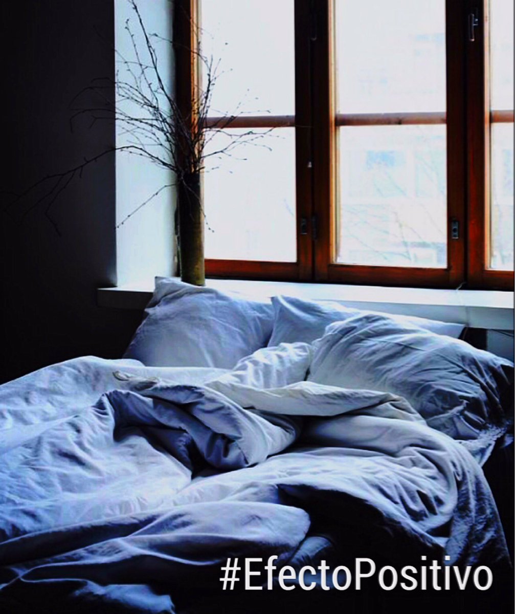 aesquinca's tweet photo. 'En la cama ocurre lo mejor de la vida: el nacimiento, el amor, la escritura y la muerte'
J.Sabines.
¡Que tengamos todos muy buena noche! https://t.co/Gicpyuqwzg