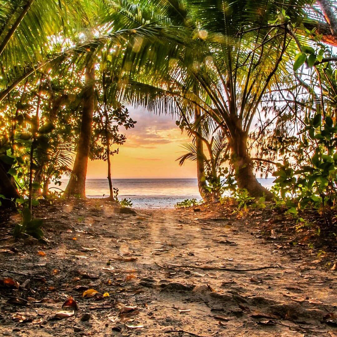 Where the rainforest meets the reef meets  the sky meets the ocean =BLISS 🌴 with @eviejadeimages over on our Insta feed 👌🏻 #Daintree