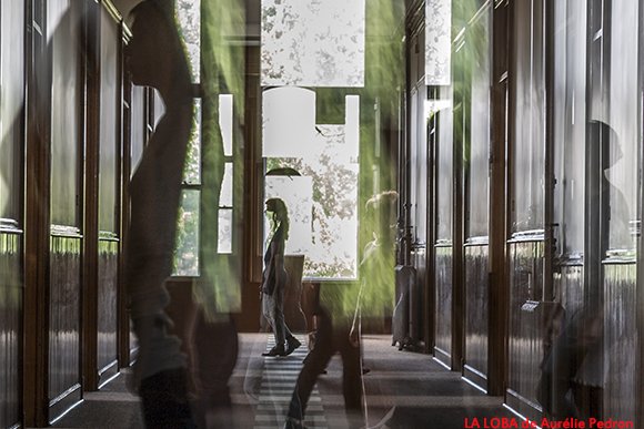 MBdanse's tweet image. Venez déambuler dans une bâtisse inhabitée à la rencontre des 12 performances de LA LOBA par Aurélie Pédron dfdanse.com/article2153.ht…