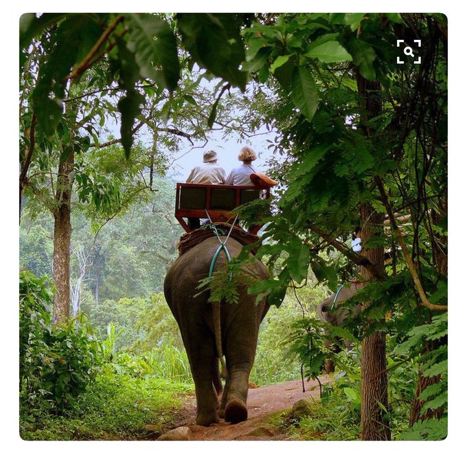 I want to go to Thailand so bad!! https://t.co/xiitWydN7T