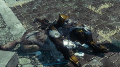 TM0NEY46's tweet photo. @DeeJ_BNG Am I doing it right?  I am become wolf. #RiseofIron #PetWolves https://t.co/WY395FdMHc