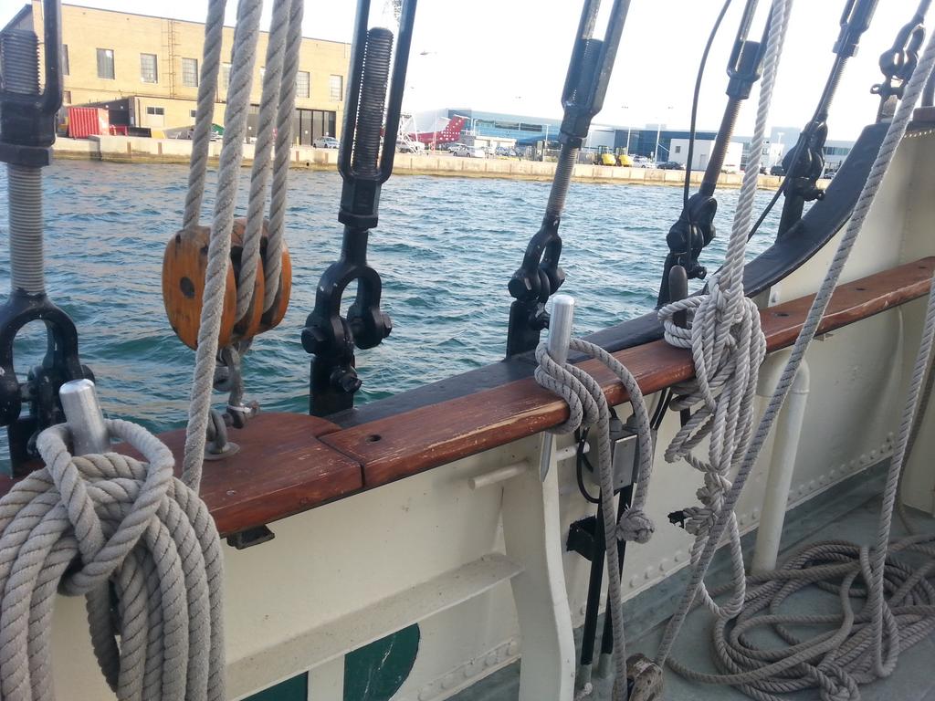 Steel_Shark's tweet photo. Here's when I was on a boat. https://t.co/uAGwyPWwZ2
