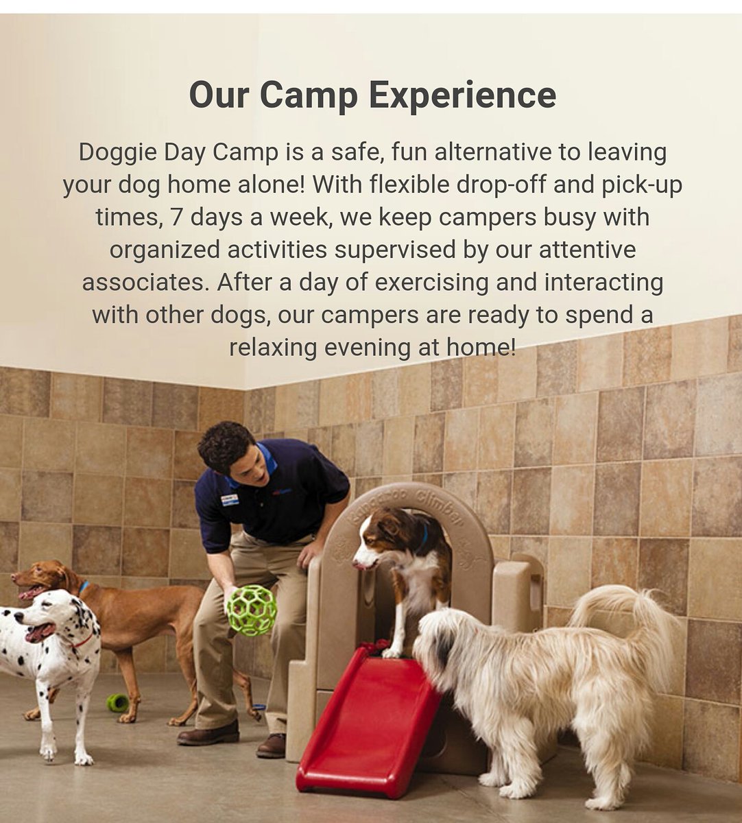 Get 50% off of your first day of Doggie Day Camp!!! #petsmart #petshotel #inspiredbypets #aurorapetshotel