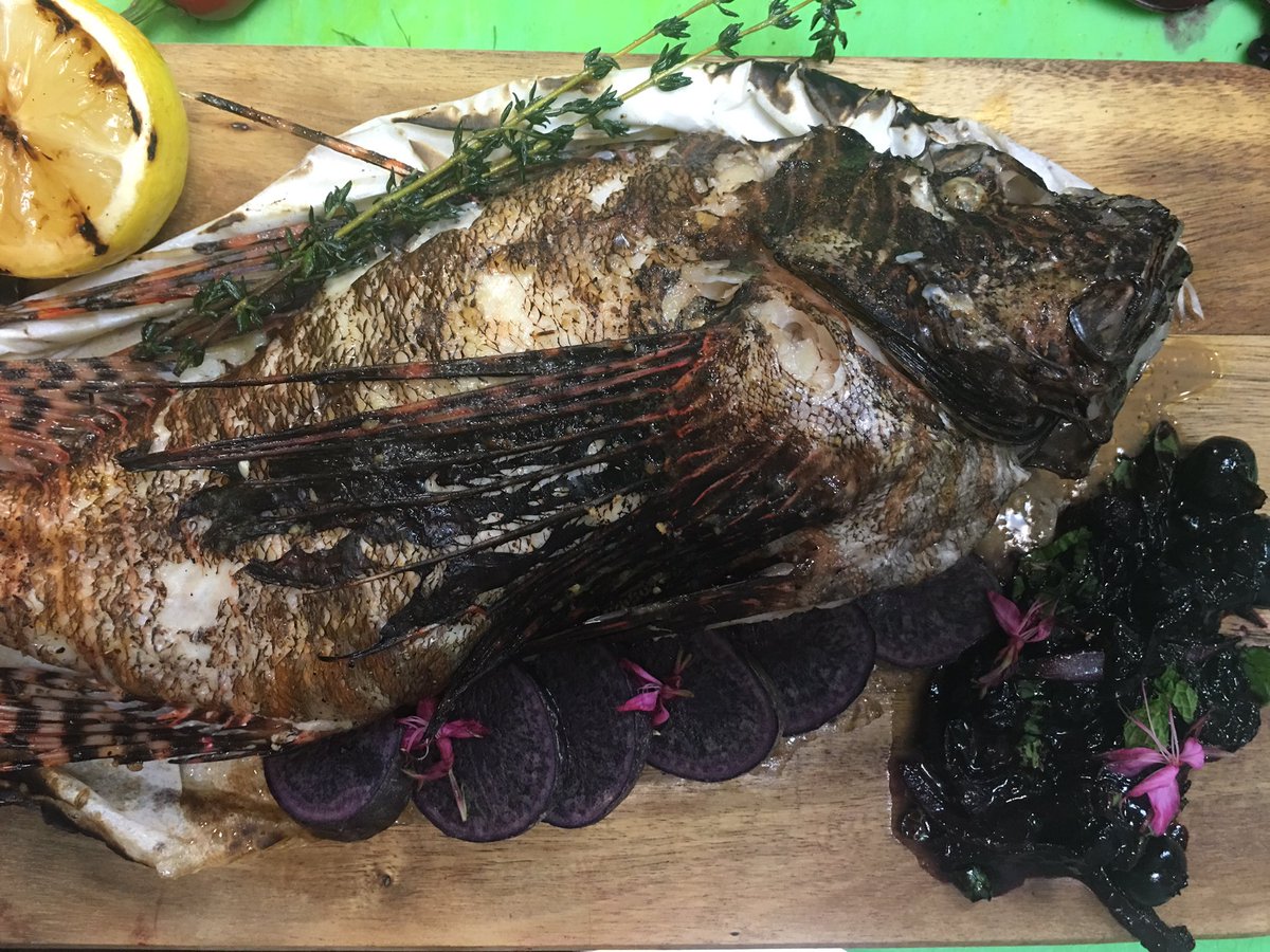 TheRedOnion2006's tweet photo. #lionfishtour
Chef Fred Barranco styling the delicious Lionfish for our Lionfish Invasion Tour October 1st! https://t.co/GtvStjKN8l
