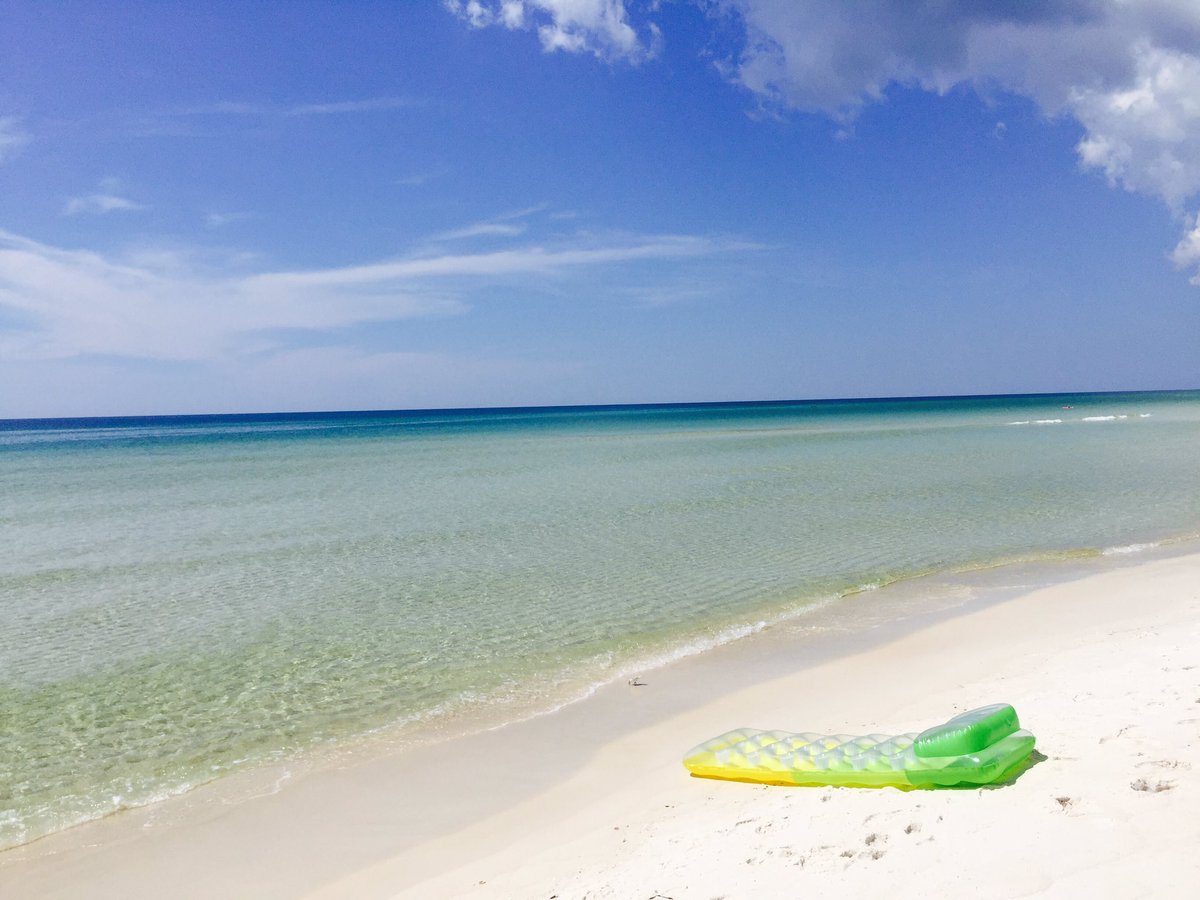 sandiadams's tweet photo. This school year twitter feed has been interrupted by Fall break... #fallbeach🌴🍁 https://t.co/rbLJwIVYtq