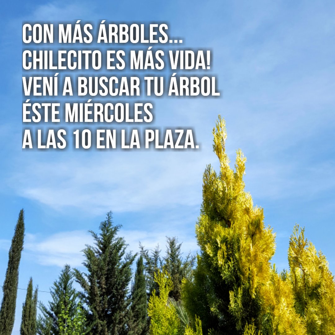 ChilecitoEsVida's tweet photo. Con más árboles, Chilecito es más VIDA! https://t.co/s0atjGW9bO