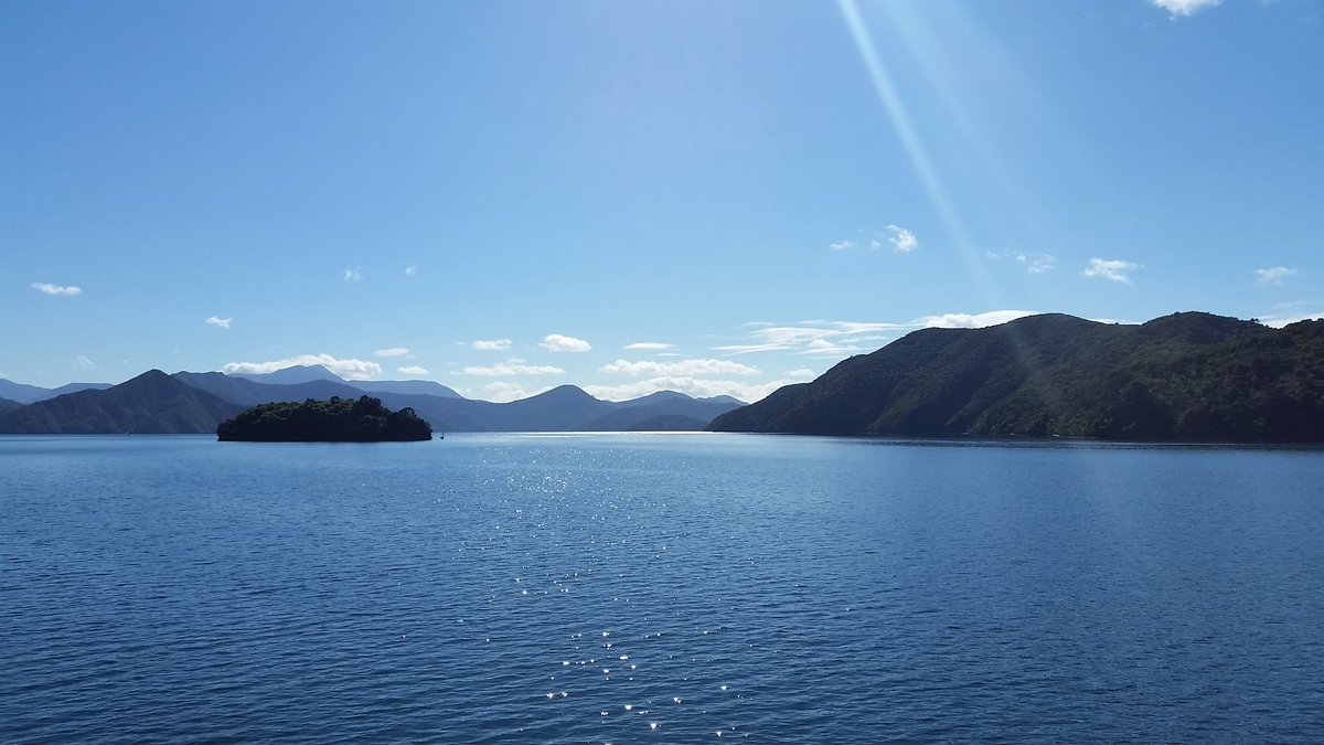 What a beautiful #onlymarlborough day to be out and about visiting Kaipupu Point Wildlife Sanctuary.
