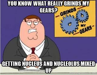 nuclei2k16's tweet photo. Accurate https://t.co/xfwDjNcUHH