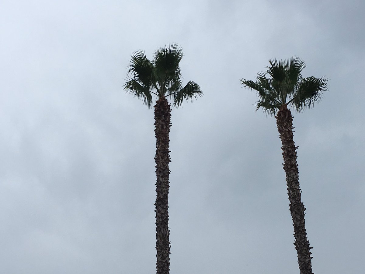 MikeJanela's tweet photo. I see San Diego is weeping because I've been gone so long. Well the #MJcation is over, so rain, rain you can go away. https://t.co/1PISdg9wdM