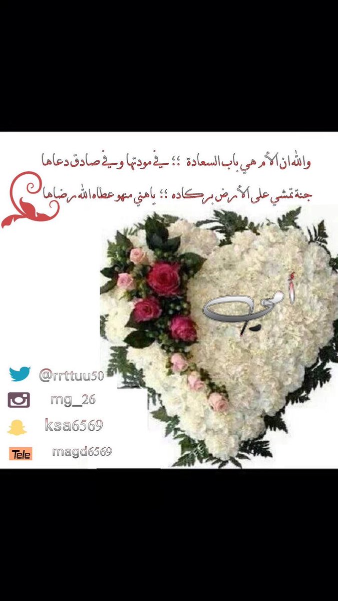 5500Mohmb's tweet photo. https://t.co/AFyiItEZhl