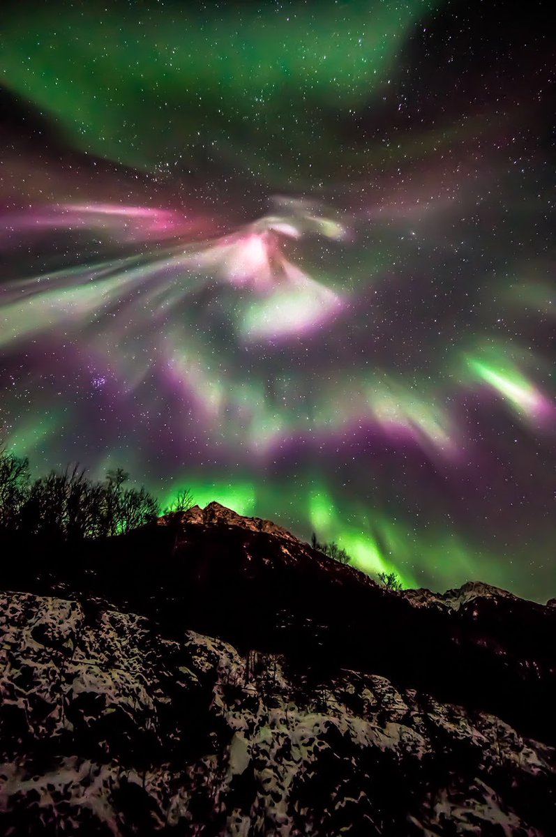Interior's tweet image. Mesmerizing pic of the Northern Lights over @DenaliNPS by Jeremy Martin. Can you see the eagle? #Alaska