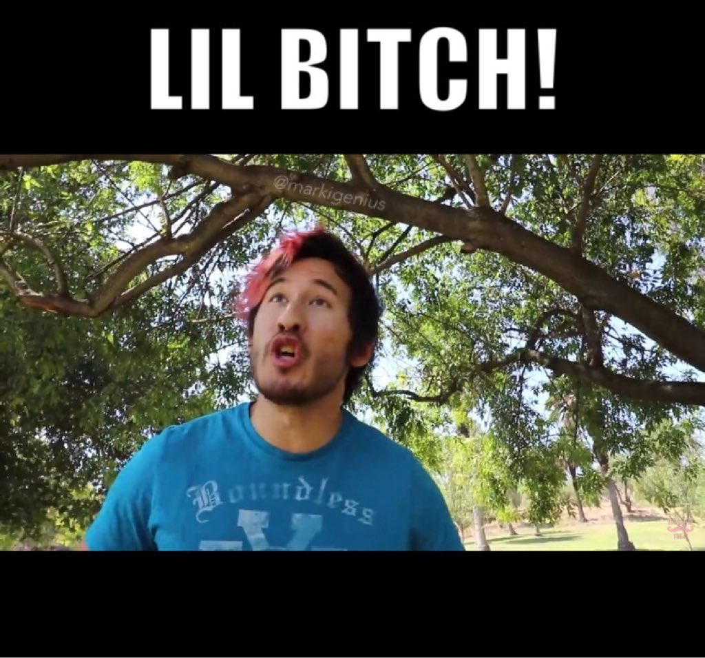 markigenius's tweet image. "Maybe you could stop being such a lil' beeeeetch!!" @markiplier #markiplierraps  😂