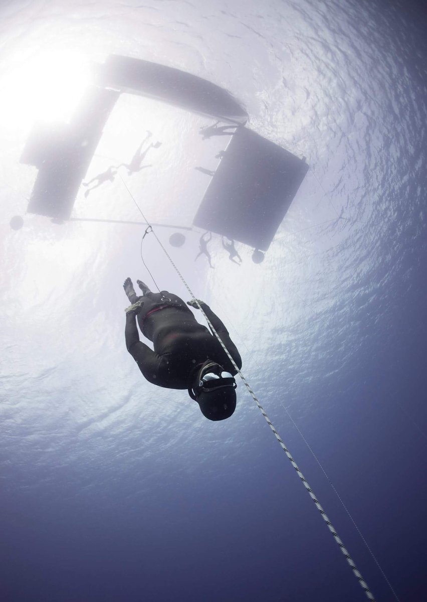 CarlosCoste1's tweet photo. Agenda actualizada! #Escuela Deepsea #Bonaire https://t.co/3W8Gk0iRh8 https://t.co/CRTaSyhZd6