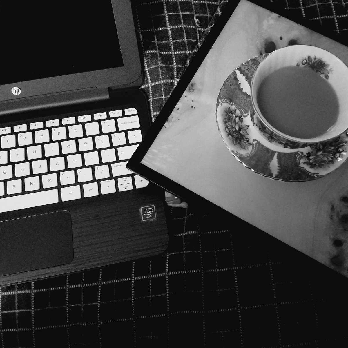 Harley1Gordon's tweet photo. I am ready #YABWordSprint https://t.co/kd2BLZYOQu