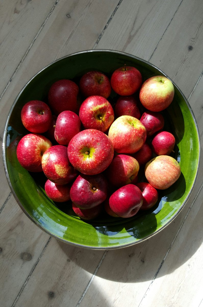 SanChristia's tweet photo. #Organic #apples from my own #garden ...🍏 https://t.co/4dXuSdElQv