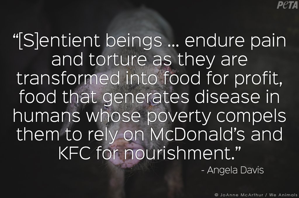 peta's tweet photo. The sad truth from #AngelaDavis. #BikoLecture https://t.co/0uIwpYDEvy