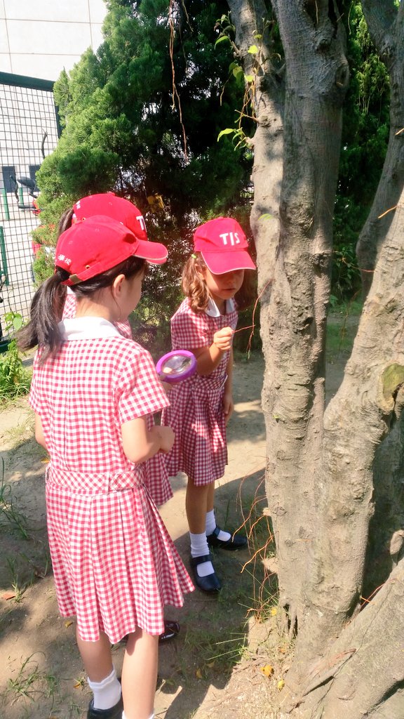 mslucylai's tweet photo. Finding creepy crawlies with our friends! #TISMacao #BugHunt #InsectUnit #LifeofGrade2Students https://t.co/PHaMO8qfUE