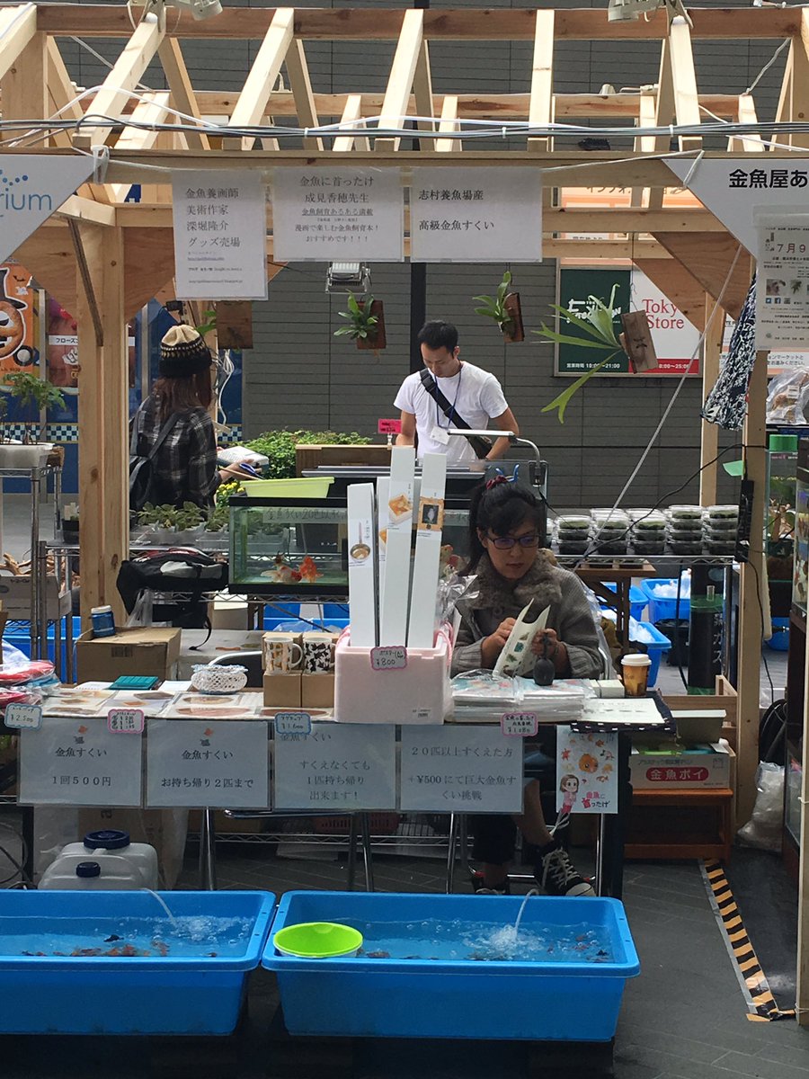 金魚屋あいこ 金魚屋あいこ二子玉川店オープン 笑