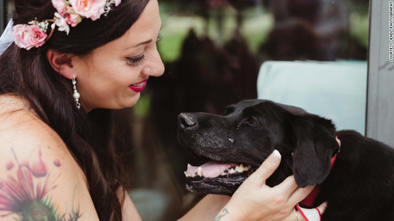 CNN's tweet photo. During his last days on Earth, this bride's dying dog saw his person down the aisle https://t.co/ukyuSs30JM https://t.co/Ufd5pVhtbw