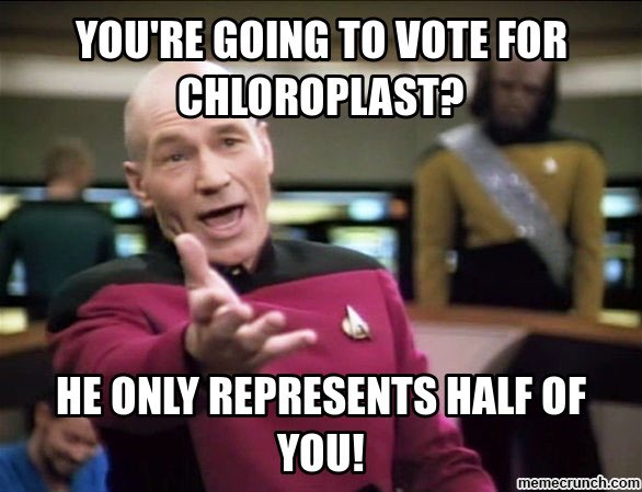 LYSORAMBE's tweet photo. @Thechloroplast_ https://t.co/JAwnXoqjdi