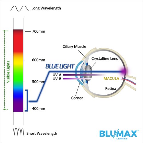 Nova_Eyewear's tweet photo. The #bluerays of the spectrum seem to accelerate age-related macular degeneration (#AMD) more than any other rays in the spectrum. #BLUMAX https://t.co/0yH4TKdHzQ
