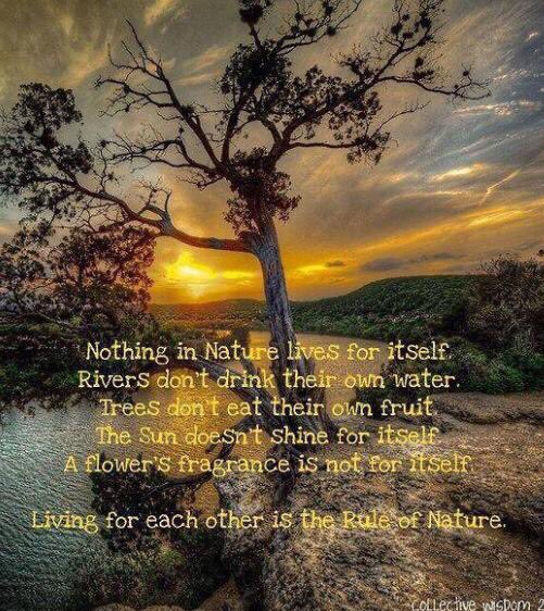 deespeak's tweet photo. Learn from nature that our true essence is living for each other... The essence of our being is love. #Peace https://t.co/V5hfnUlaEP